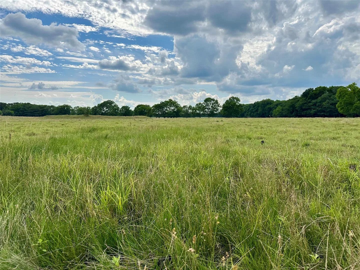 Property from 2129 County Road 2130 - KW - Cooper, Texas, 75432