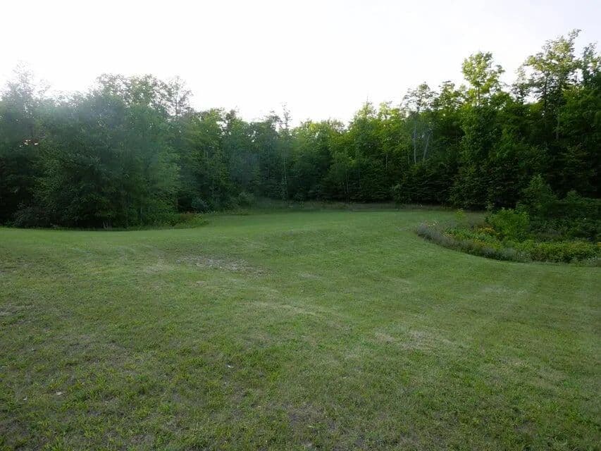 Property from 0.84 AC Michigan 32 - KW - Hillman, Michigan, 49746