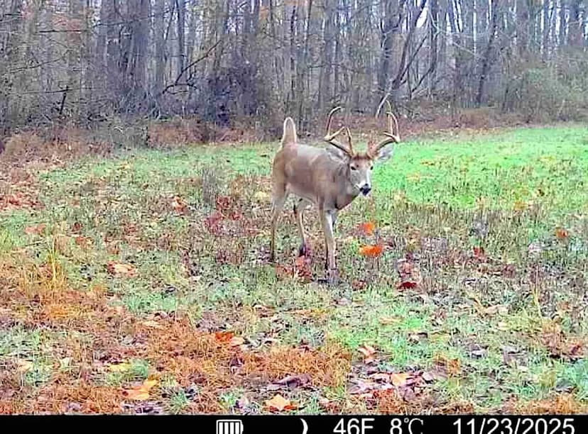 120±-Acre Farm with CRP Income & Great Hunting – Union County