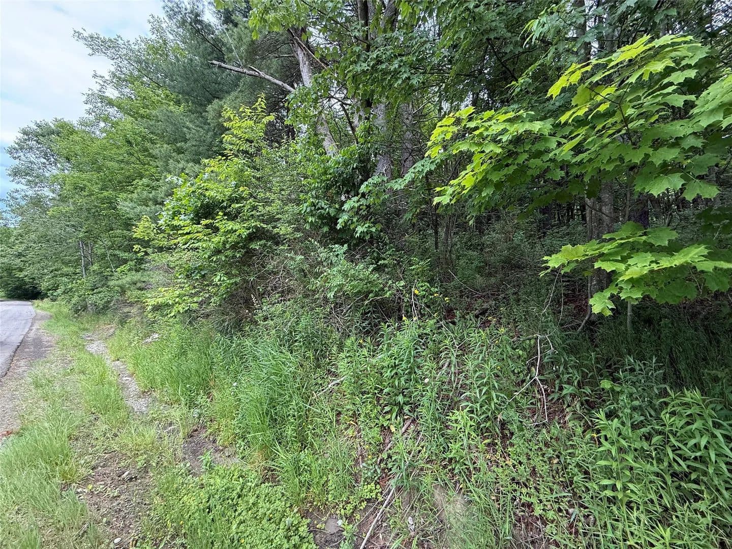 Property from 55 Badger Road - KW - Binghamton, New York, 13904