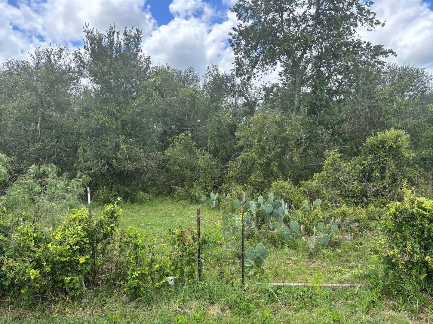 3 Acres of Land for Sale in Thrall, Texas - Thrall, Texas, 76578