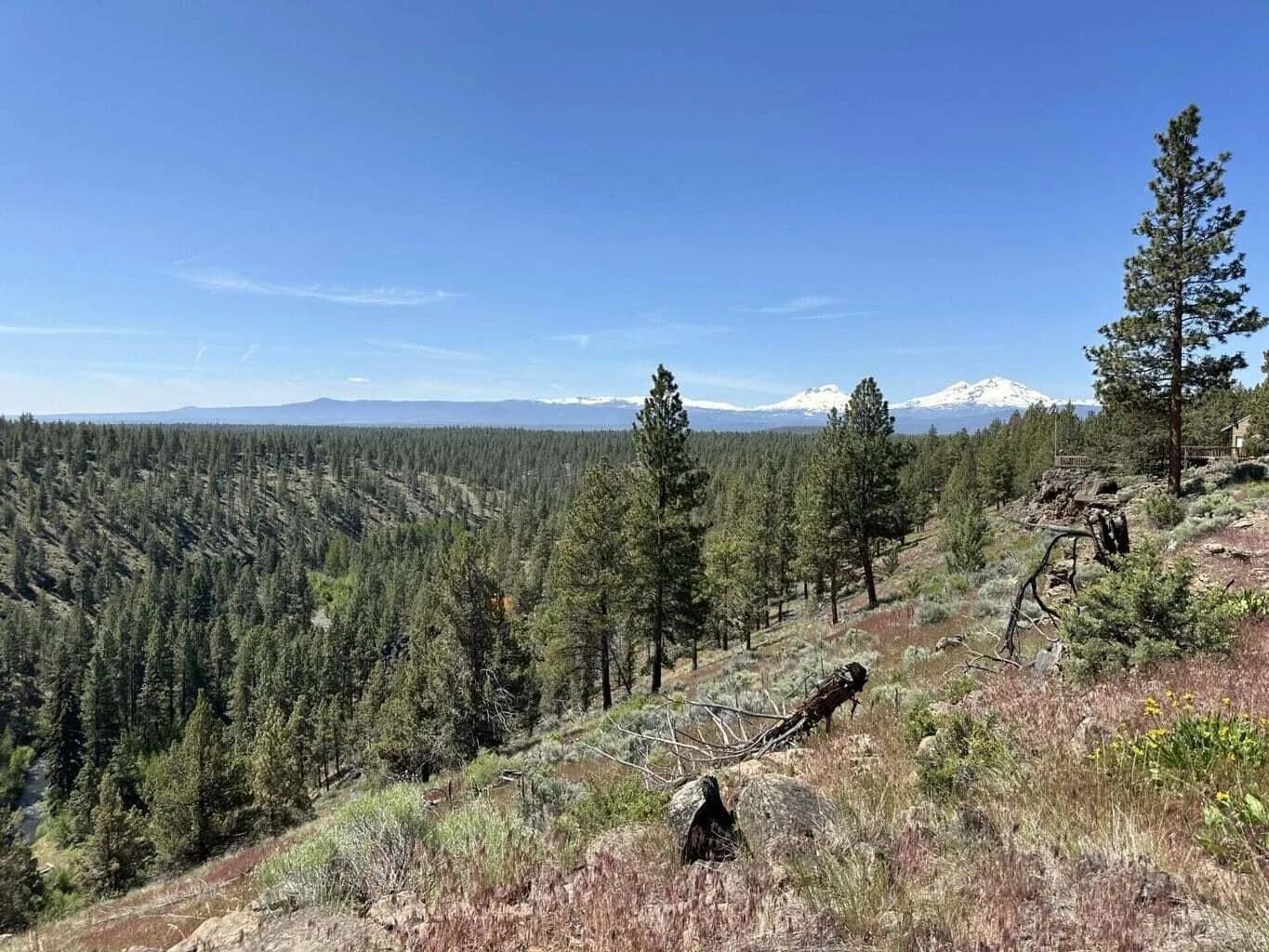 Vacant Land in Sisters - Sisters, Oregon, 97759