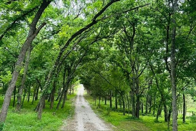 Property from 303 Celtic Road - KW - Howe, Texas, 75459