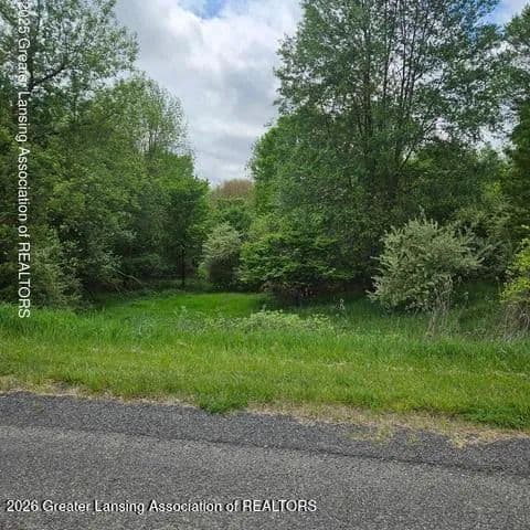 0.32 Acres of Land for Sale in Perrinton, Michigan - Perrinton, Michigan, 48871