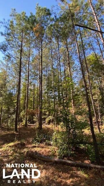 Creola Recreation & Timber Tract - Creola, Alabama, 36525