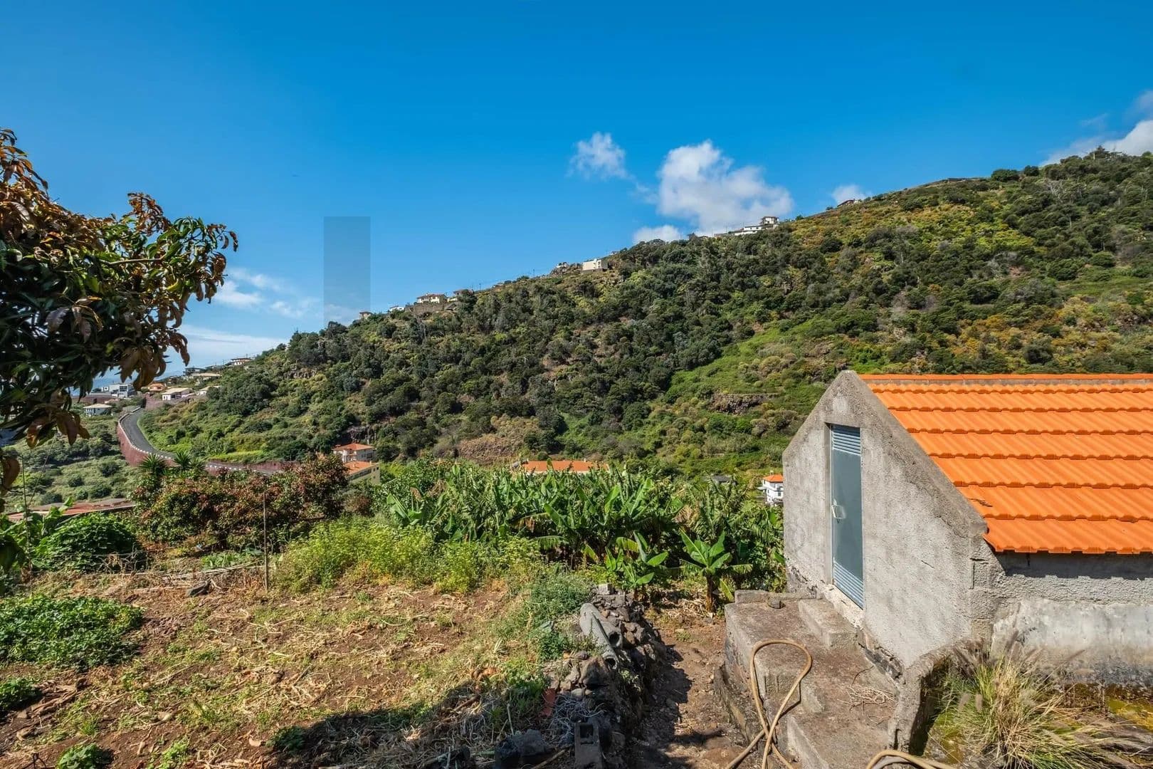1010 Acres of Land for Sale in Santa Cruz, Santa Cruz - land for sale