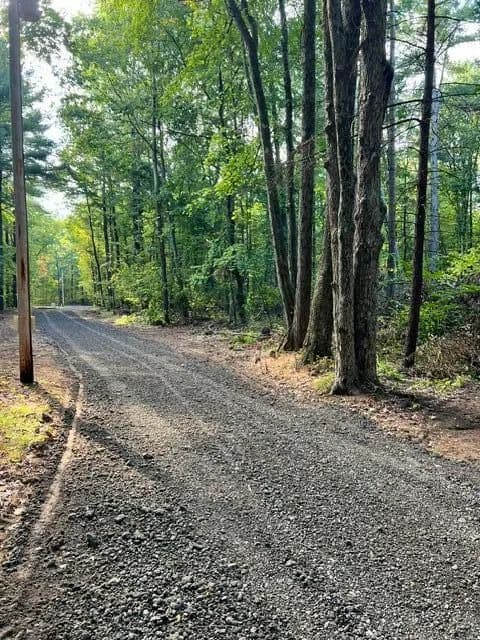 2.4 Acres of Land for Sale in Newaygo, Michigan - Newaygo, Michigan, 49337
