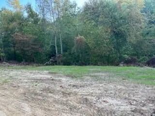 Property from 900 Wilber Hill Road - KW - Blaine, Kentucky, 41124