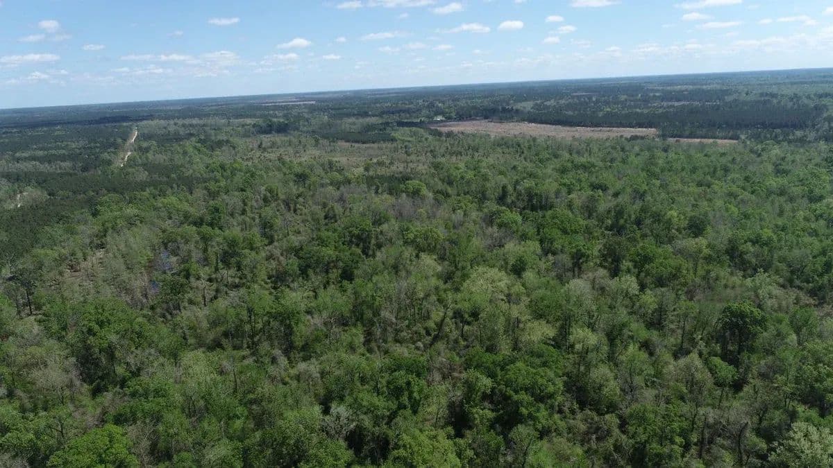 Forest River Tract 20 - Merryville, Louisiana, 70653