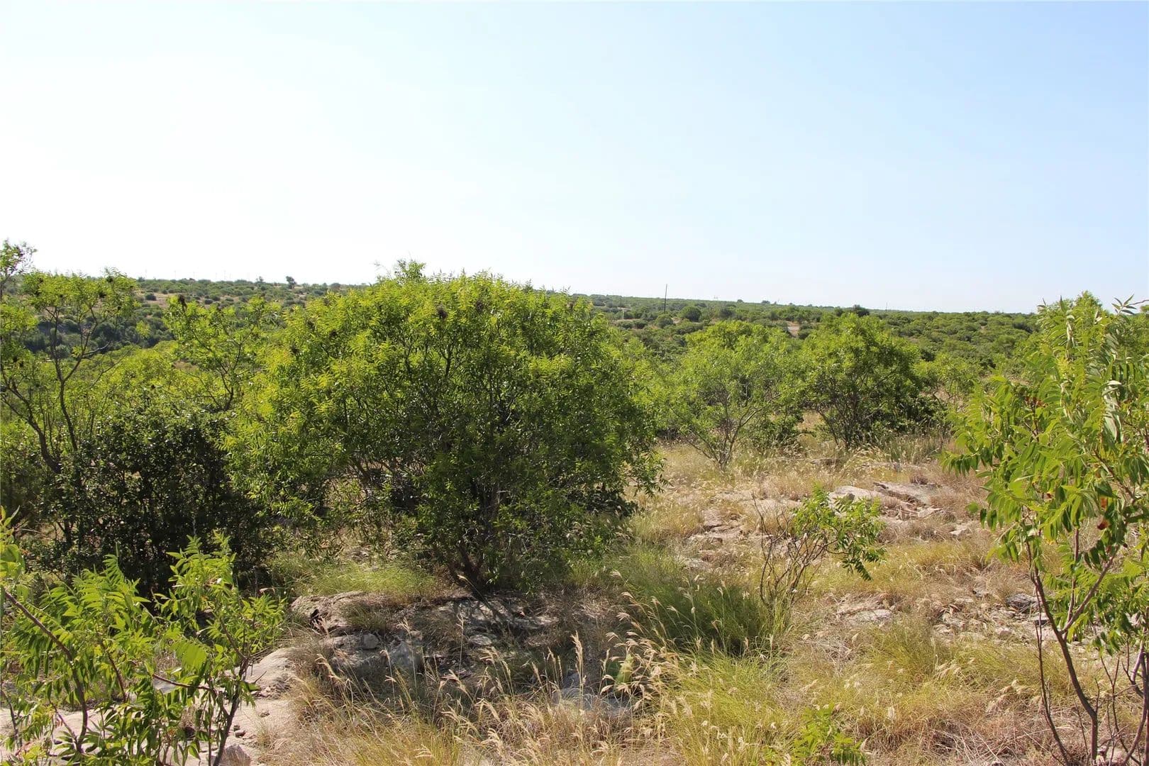 0.1 Acres of Land for Sale in Graford, Texas - Graford, Texas, 76449