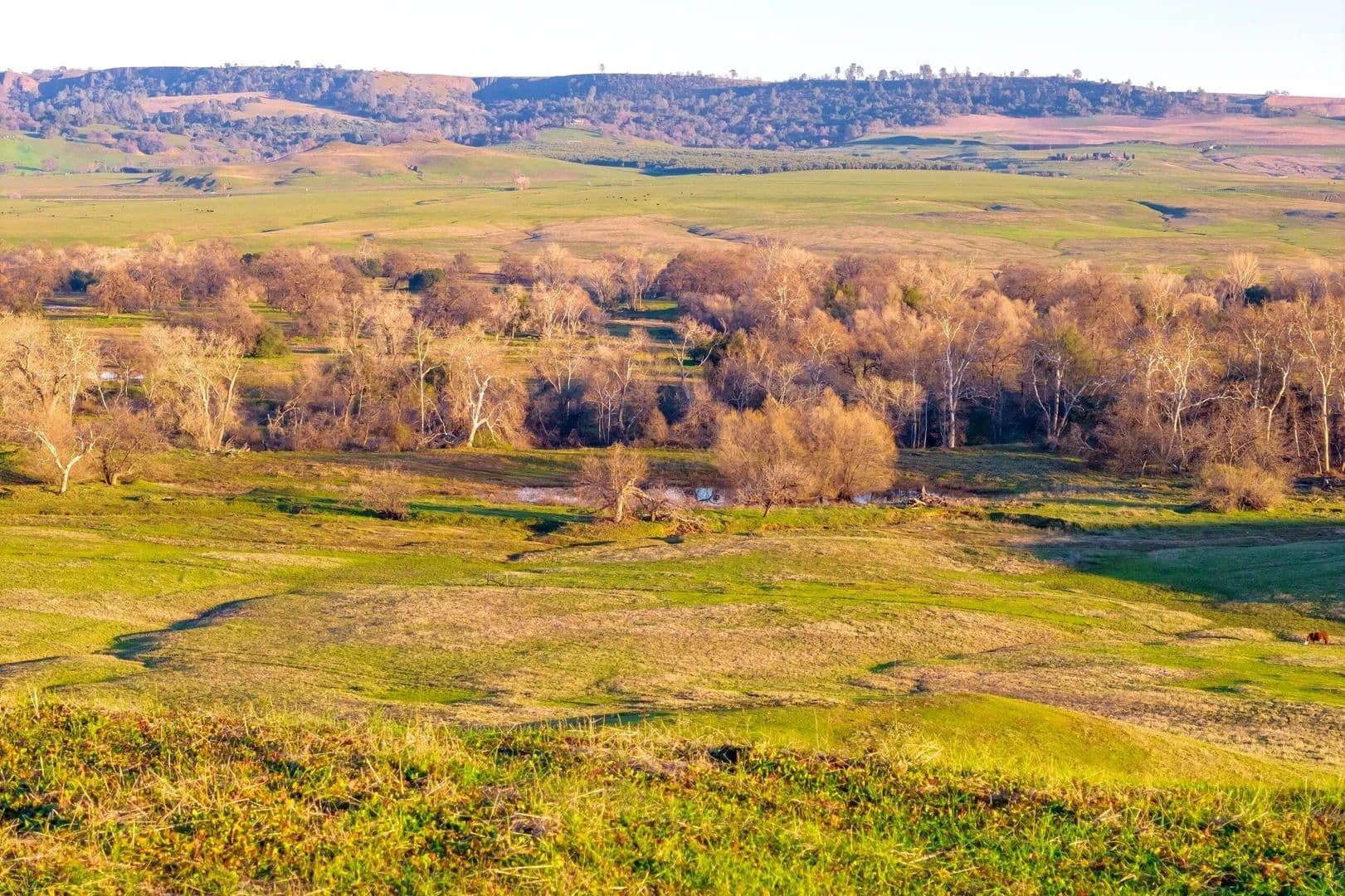 Butte Valley Springs - Oroville, California, 95965