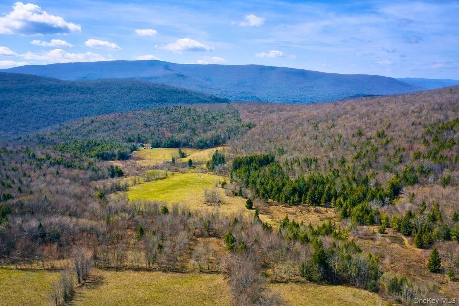 Property from Hog Mountain - KW - Fleischmanns, New York, 12430