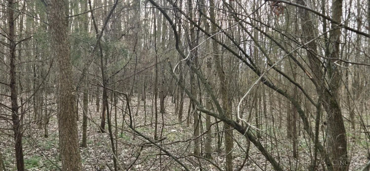 2.44 Acres of Land for Sale in Blanchester, Ohio - Blanchester, Ohio, 45107