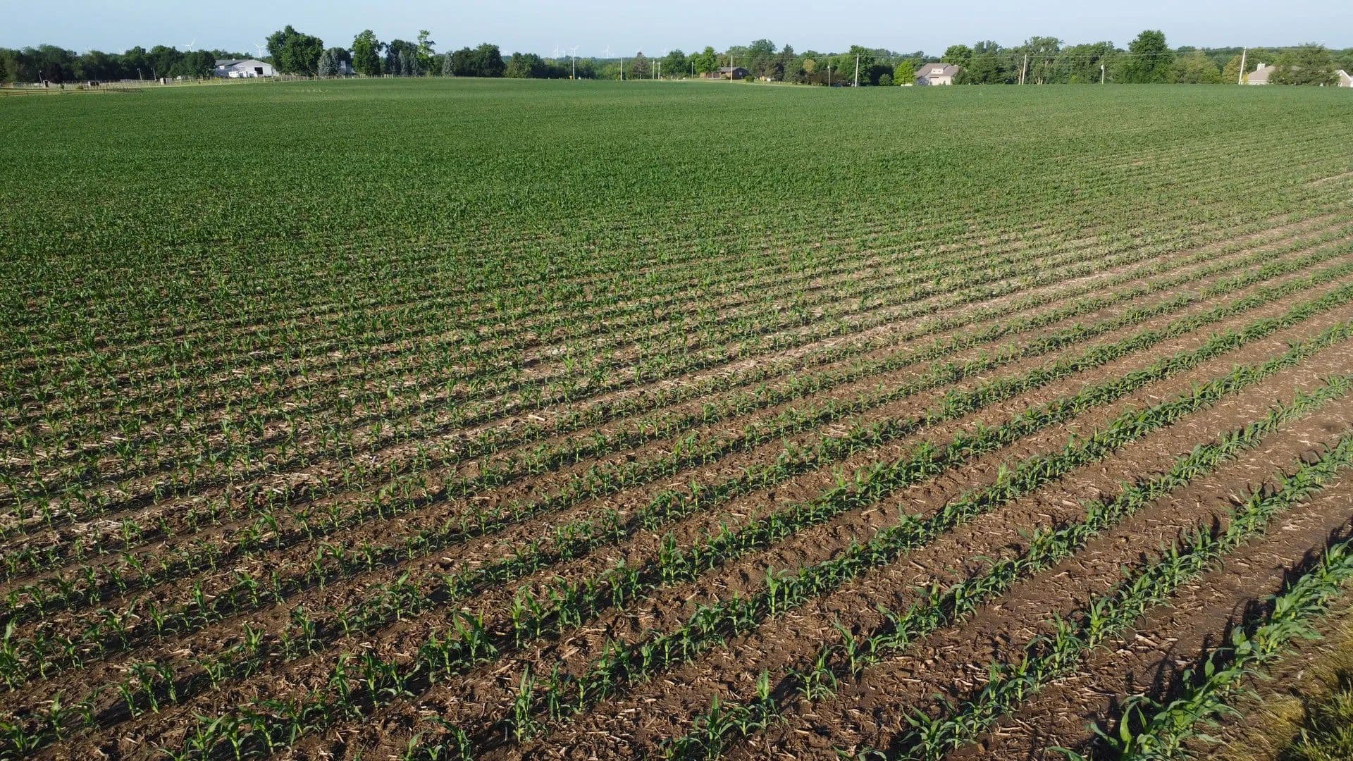 Property from 00 525N - KW - El Paso, Illinois, 61738