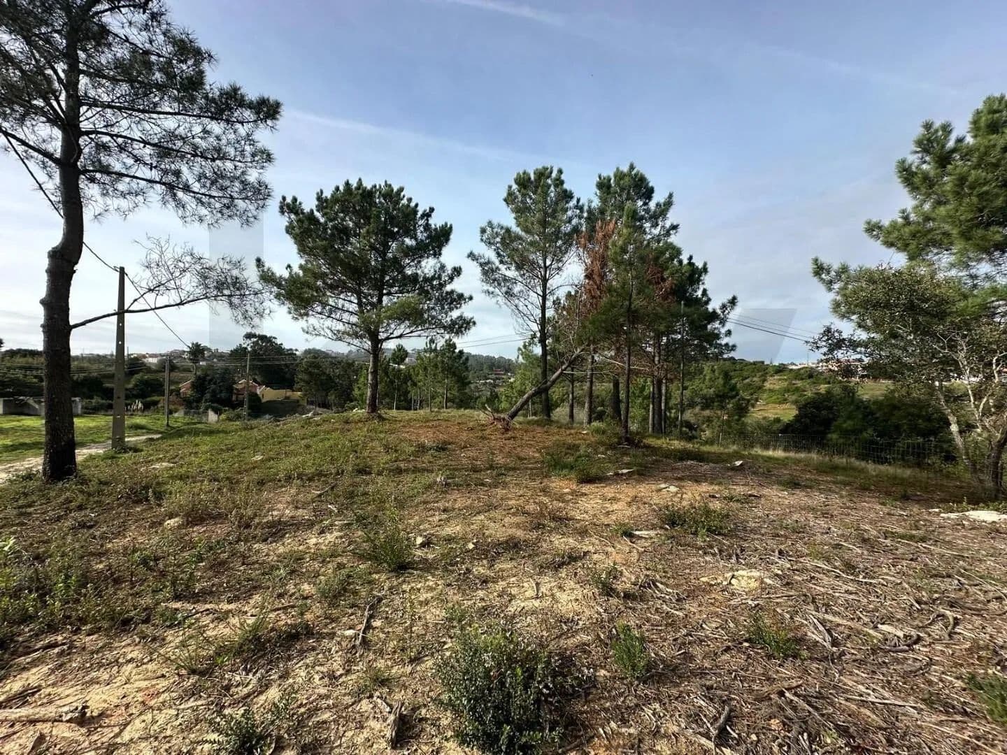 1900 Acres of Land for Sale in Mafra, Mafra - land for sale
