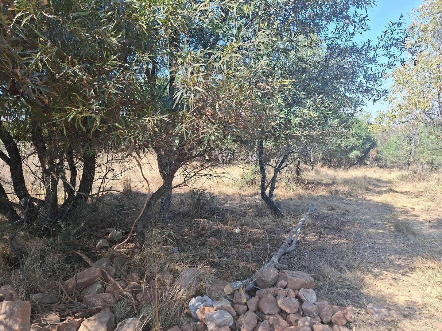 2038 Acres of Land for Sale in Modimolle, Limpopo - land for sale