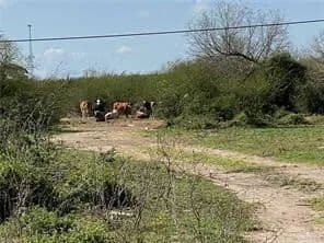 Property from 0 W Brushline Road - KW - Mission, Texas, 78574