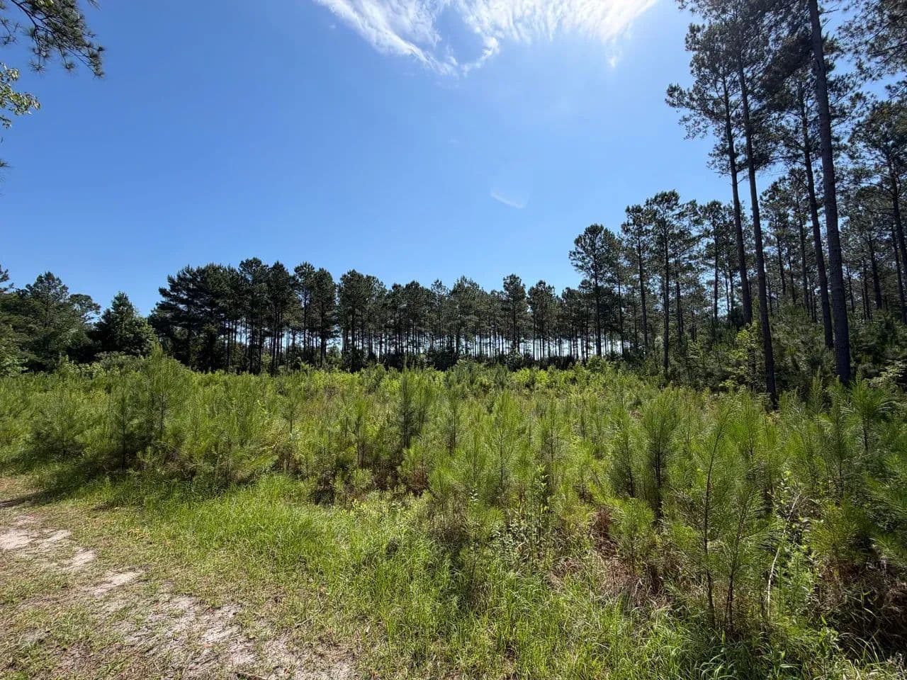 Bucks 17-1 - Conway, South Carolina, 29527