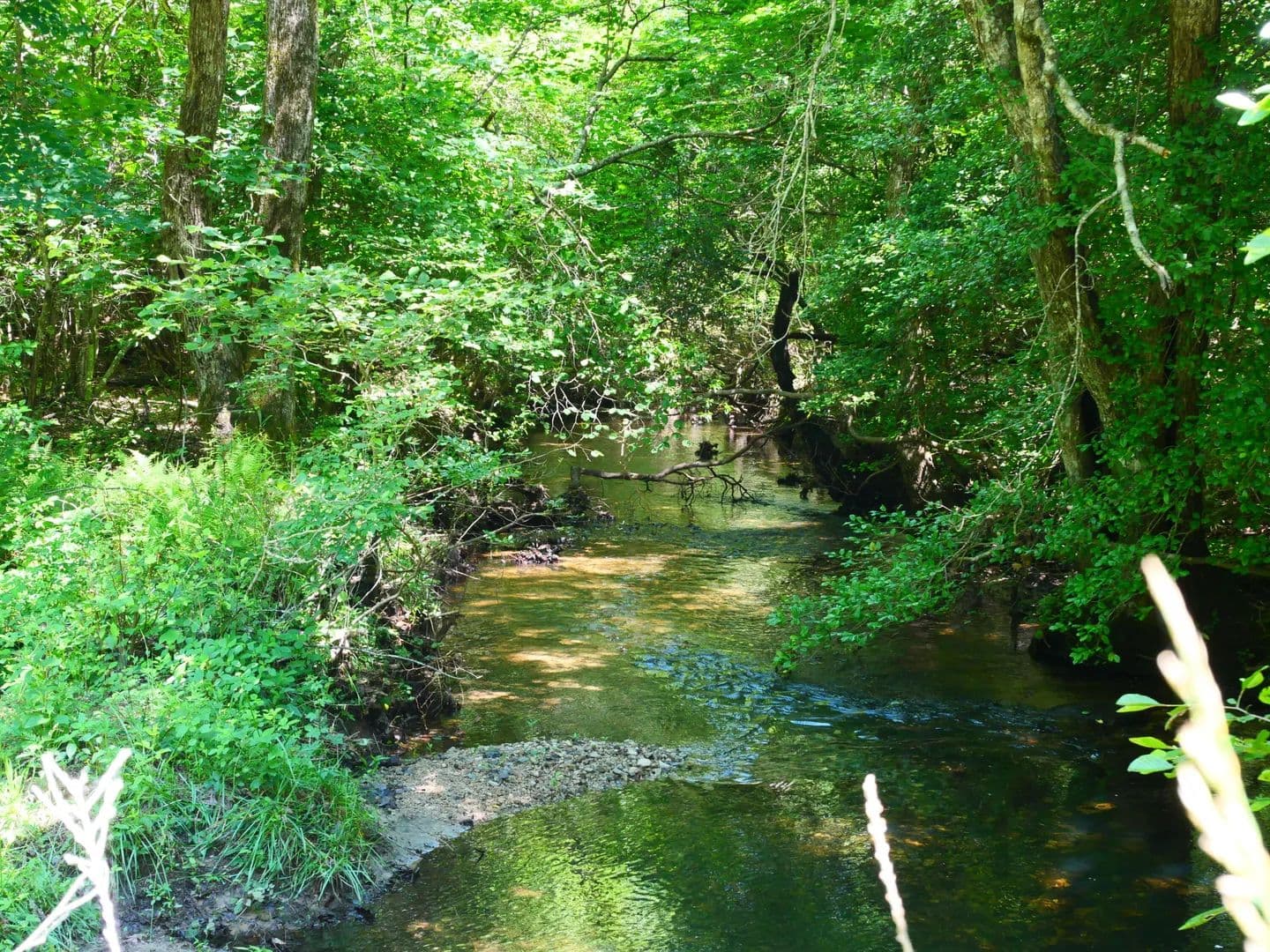 Property from 0 Gap Rd E Of Road - KW - Whitwell, Tennessee, 37397