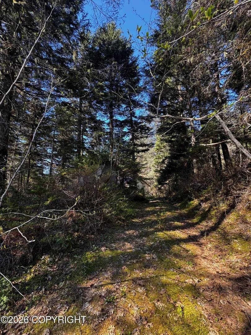 0.9 Acres of Land for Sale in Seward, Alaska - Seward, Alaska, 99664