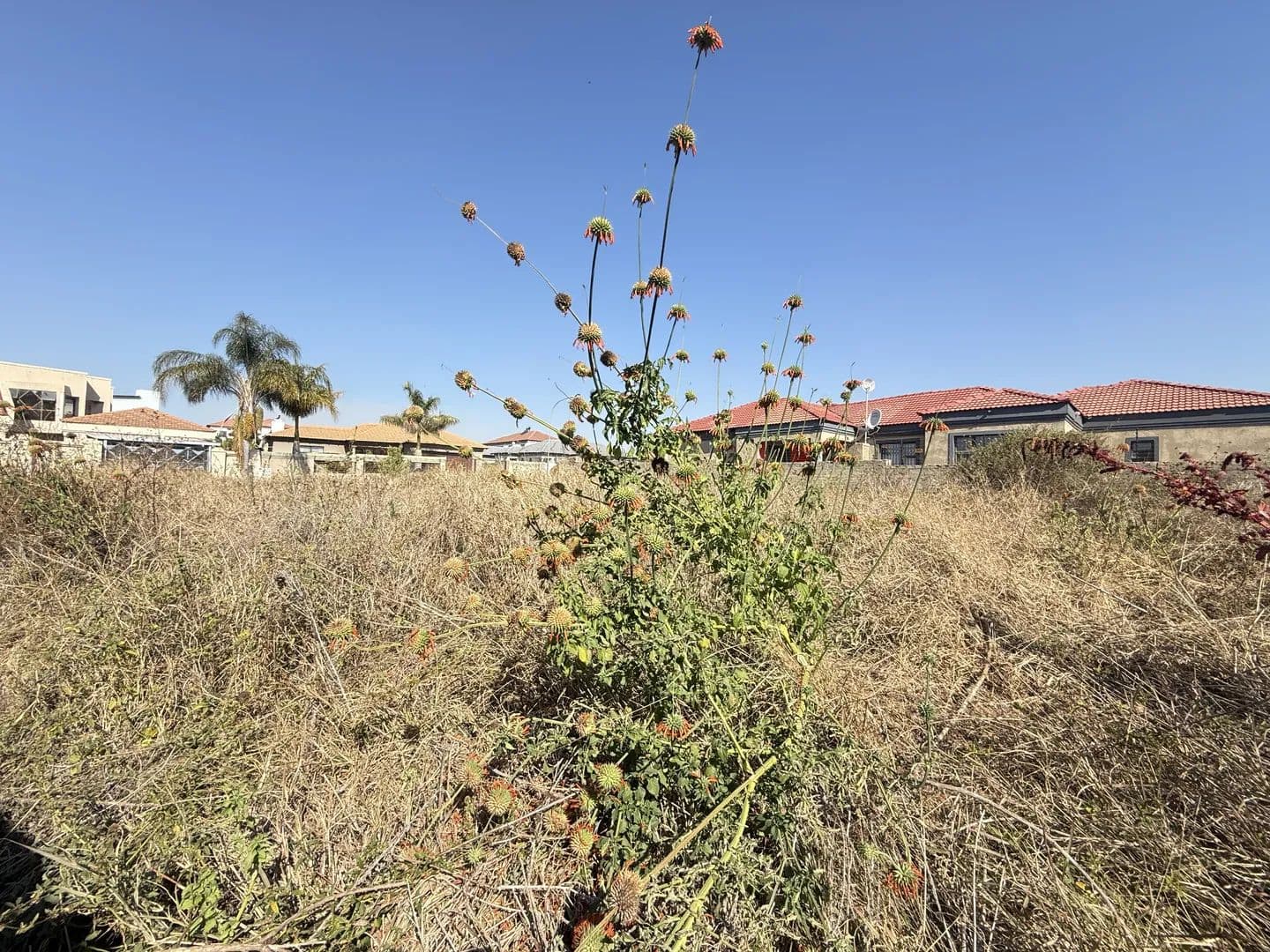 604 Acres of Land for Sale in Polokwane, Limpopo - land for sale