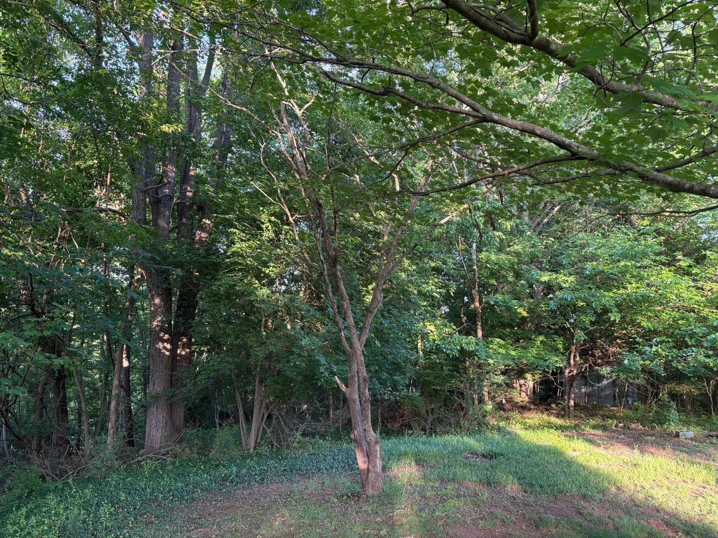 Property from 1130 Stephens (Lot) ST - KW - Martinsville, Virginia, 24112