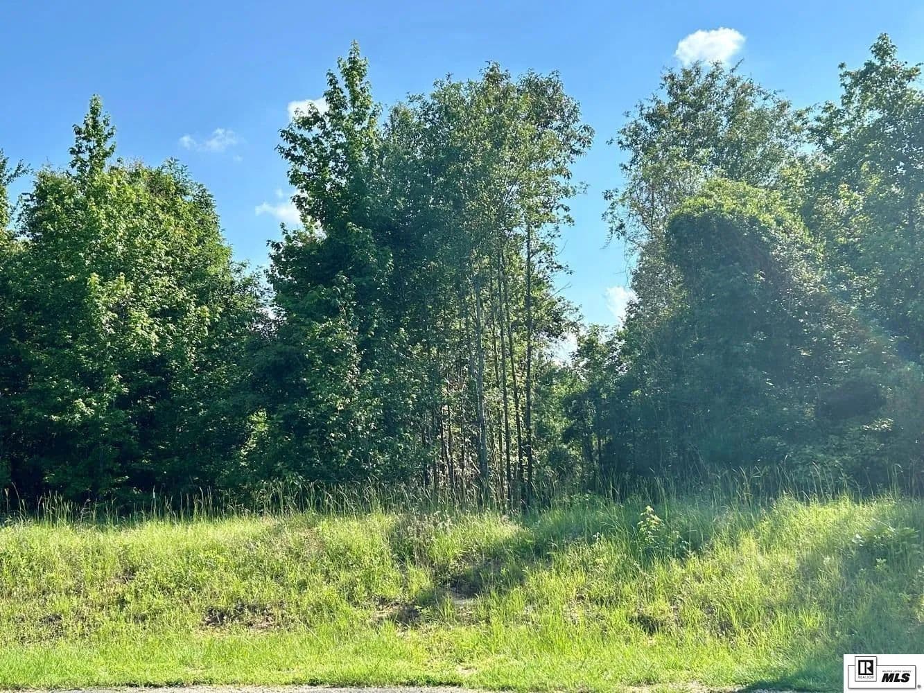 4.1 Acres of Land for Sale in Downsville, Louisiana - Downsville, Louisiana, 71234