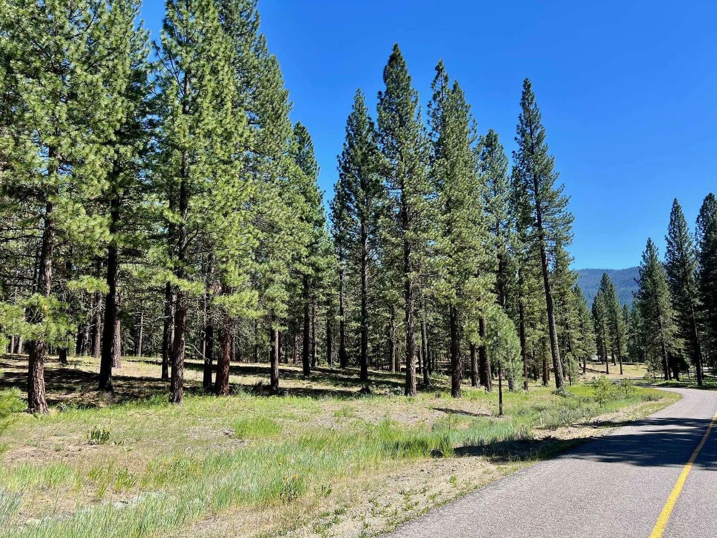 Property from 1855 Valley Ranch Drive - KW - Clio, California, 96106