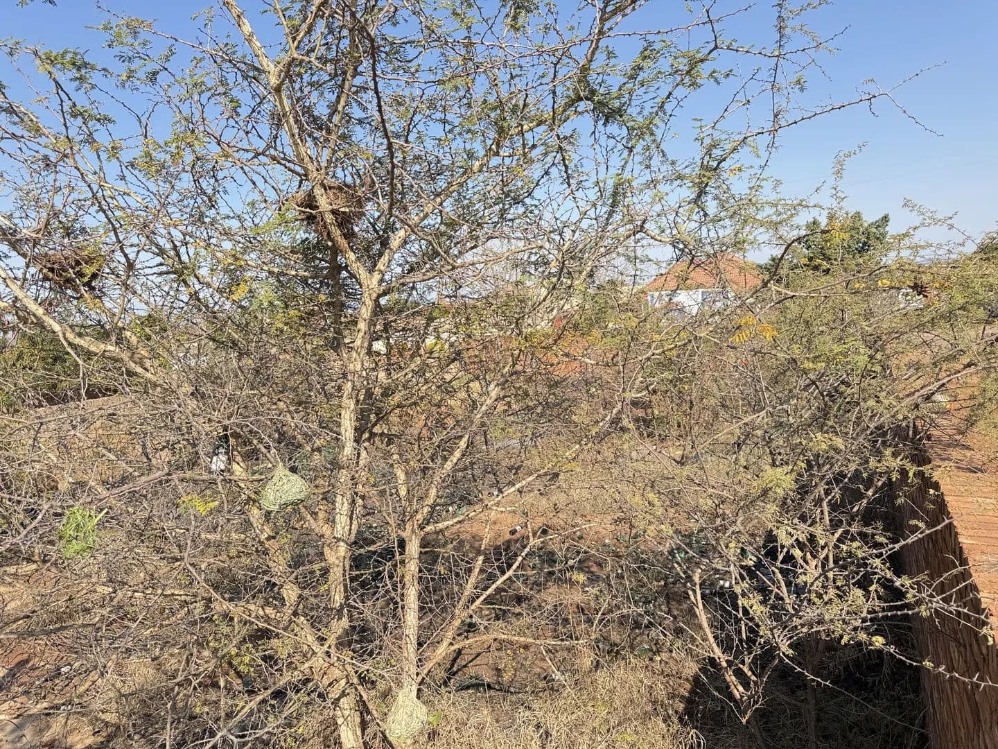 450 Acres of Land for Sale in Polokwane, Limpopo - land for sale