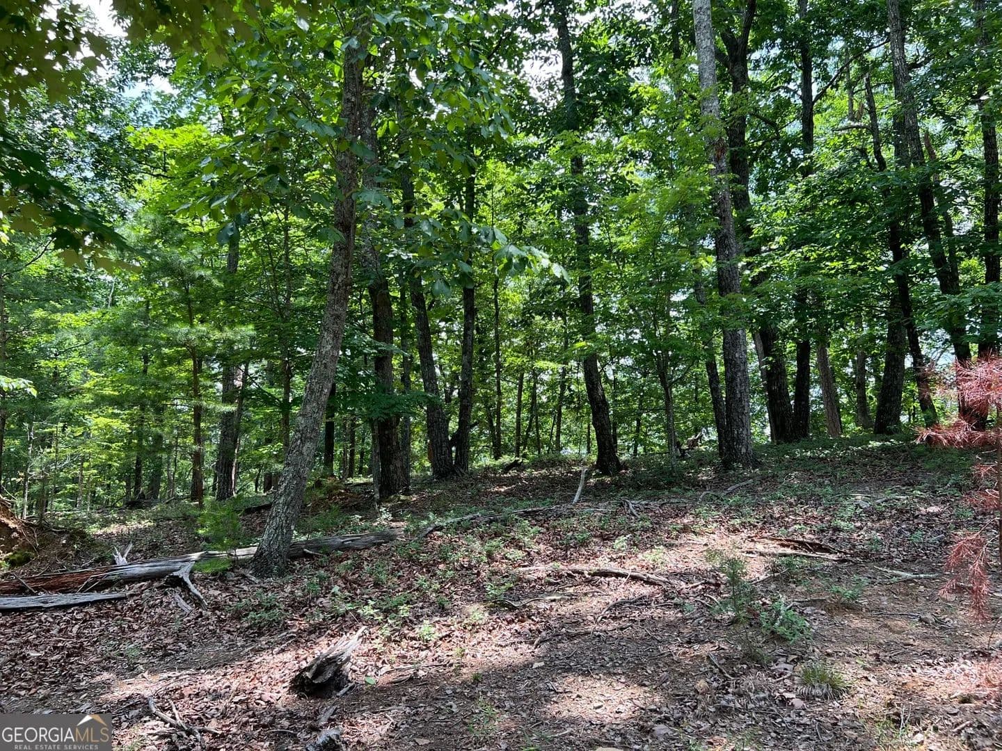 Property from 0 Planters Pointe Drive - KW - Baldwin, Georgia, 30511