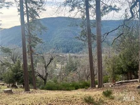 27 Acres of Land for Sale in Cobb, California - Cobb, California, 95426