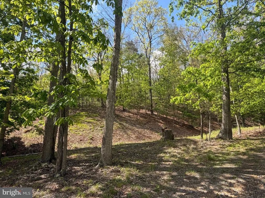 8 Acres of Land for Sale in Fort Ashby, West Virginia - Fort Ashby, West Virginia, 26719