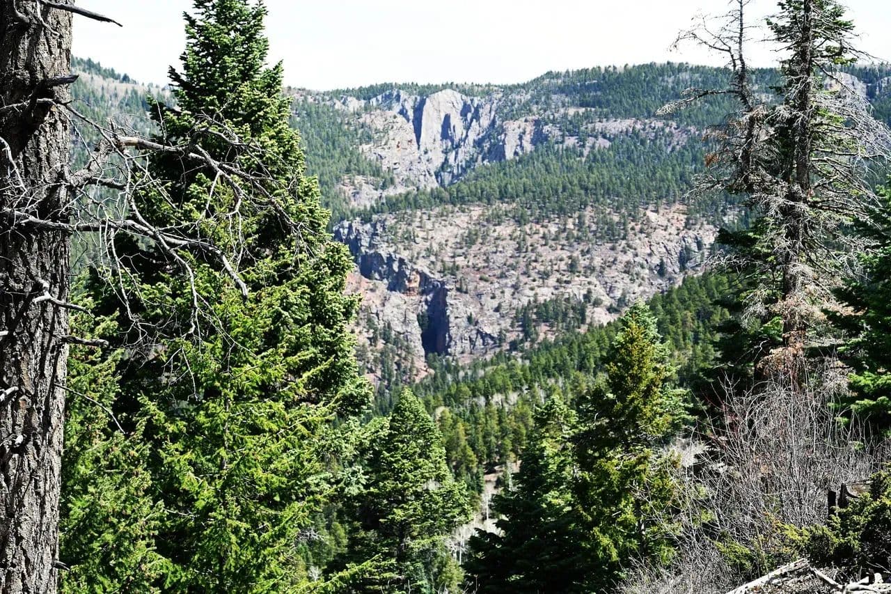 Ticonderoga 272.27 acres - Chama, New Mexico, 87520