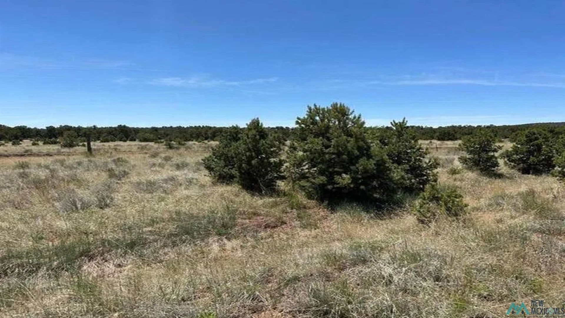 Property from 55 Elk Trail - KW - Pie Town, New Mexico, 87827