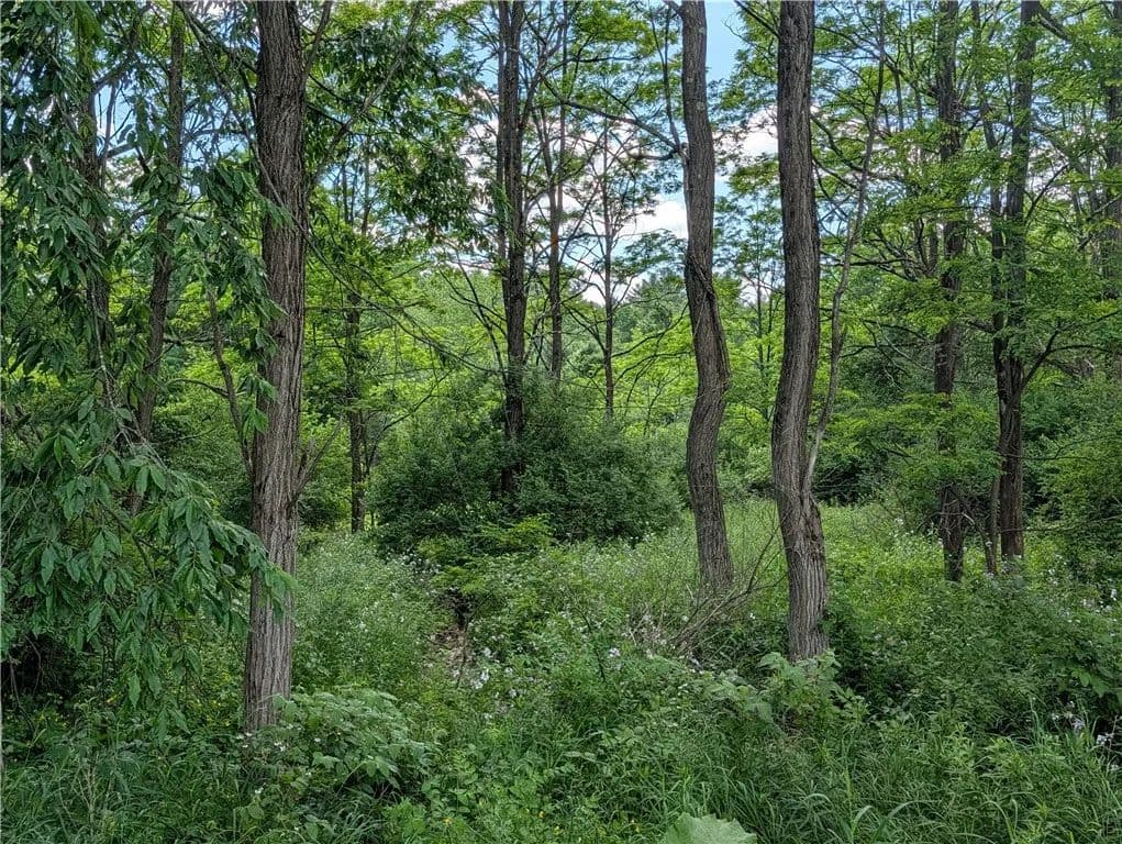 Property from Case Road - KW - Bainbridge, New York, 13733