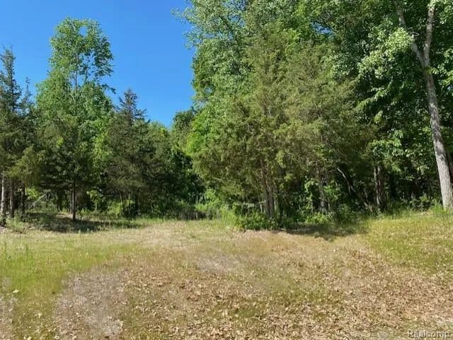 Property from lot 5 Dollar Ridge Lane - KW - , Michigan, 48178