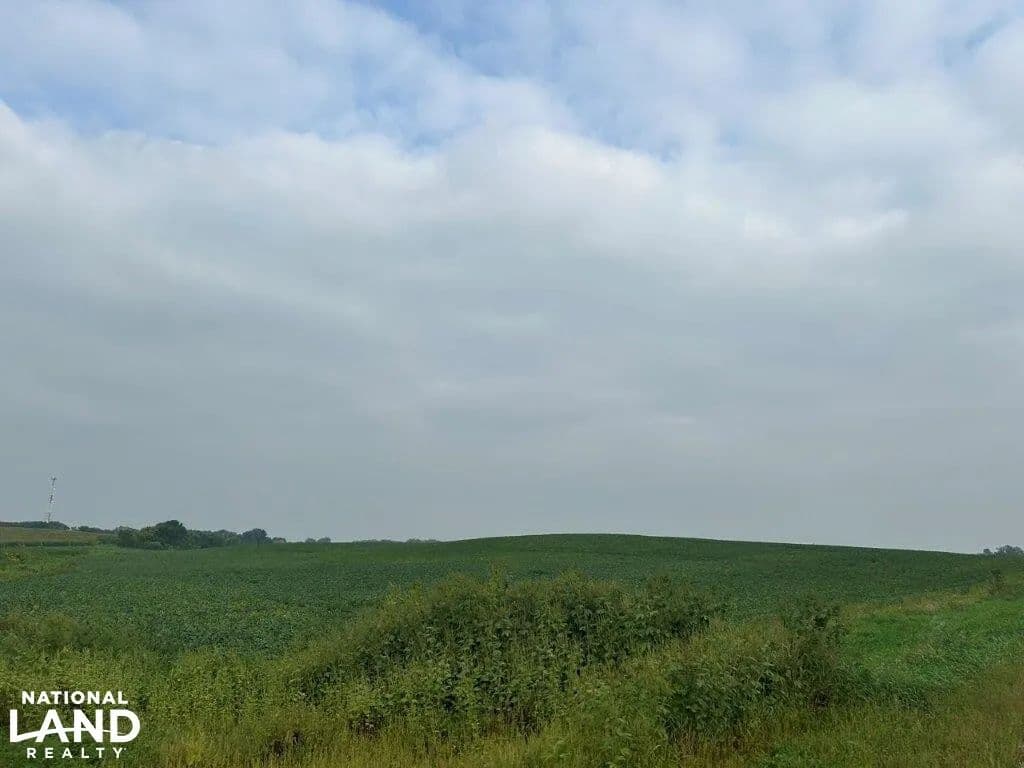 000 465th St, Fairfax (Parcel 3) - Fairfax, Minnesota, 55332