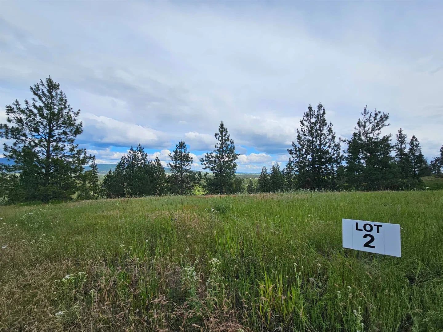 Property from NNA S Sands Rd - KW - Valleyford, Washington, 99036
