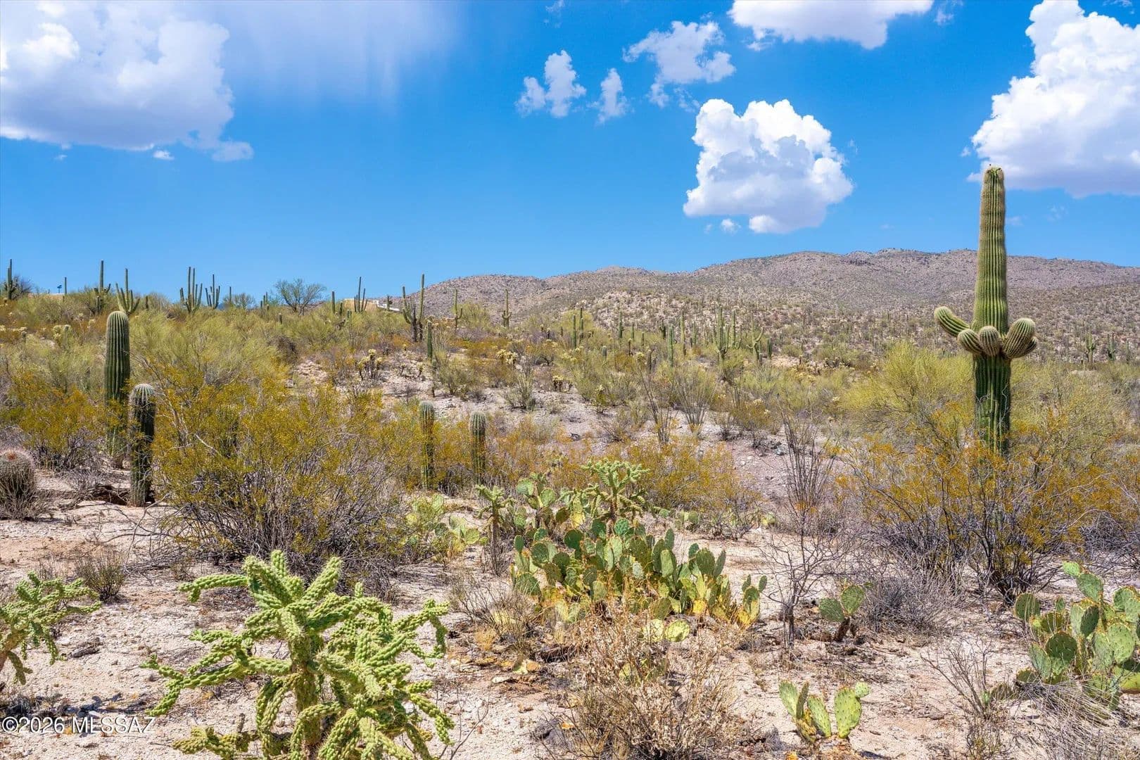4.35 Acres of Land for Sale in Tucson, AZ - Tucson, Arizona, 85749