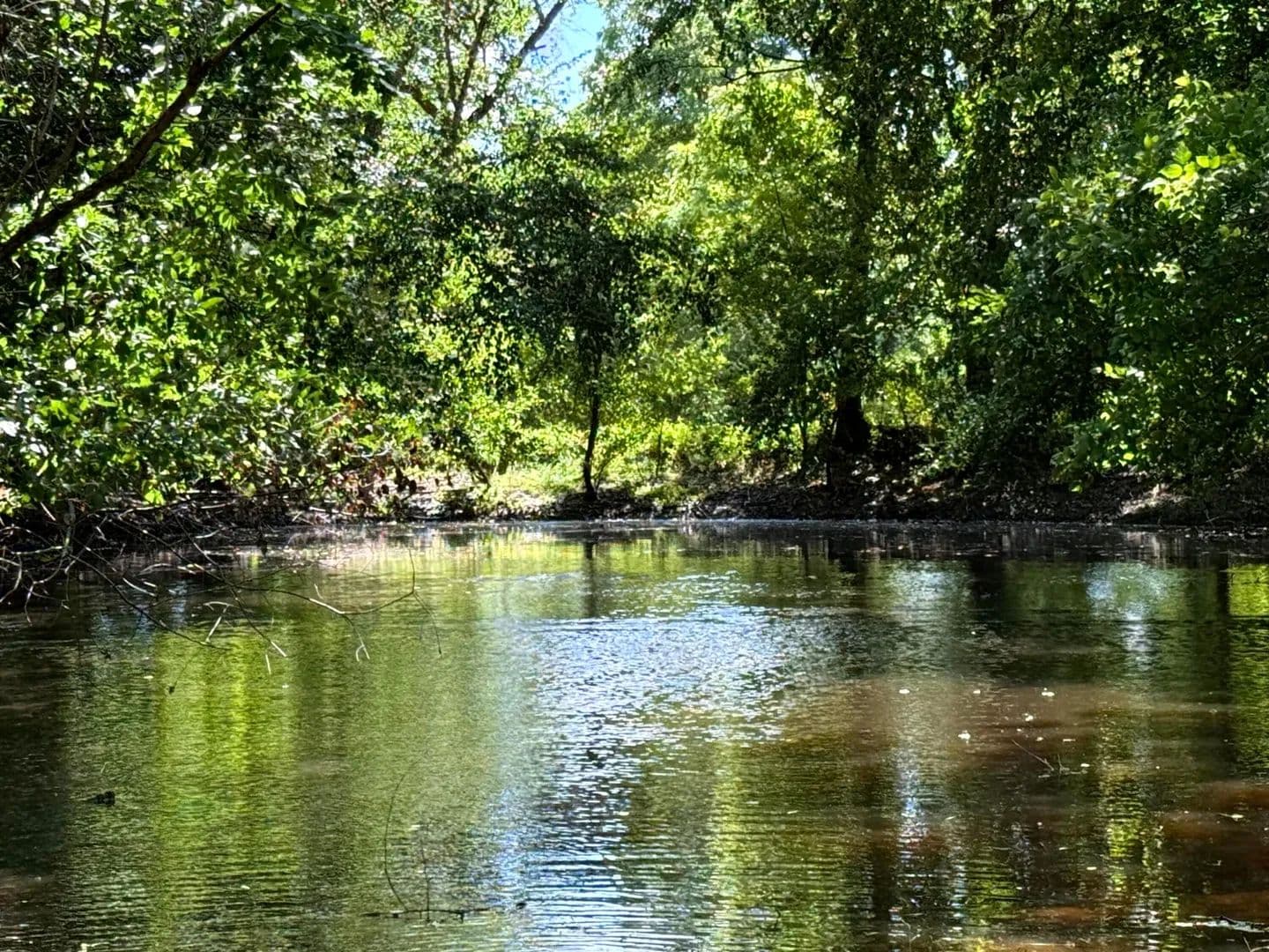 17.45 Acres of Land for Sale in Jackson, OH - Jackson, Ohio, 45640