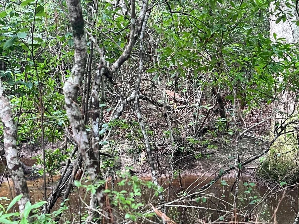 Forest River 25 - Merryville, Louisiana, 70653