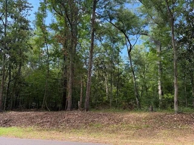 Property from Lot 14 Crestwood Drive - KW - Tallahassee, Florida, 32311