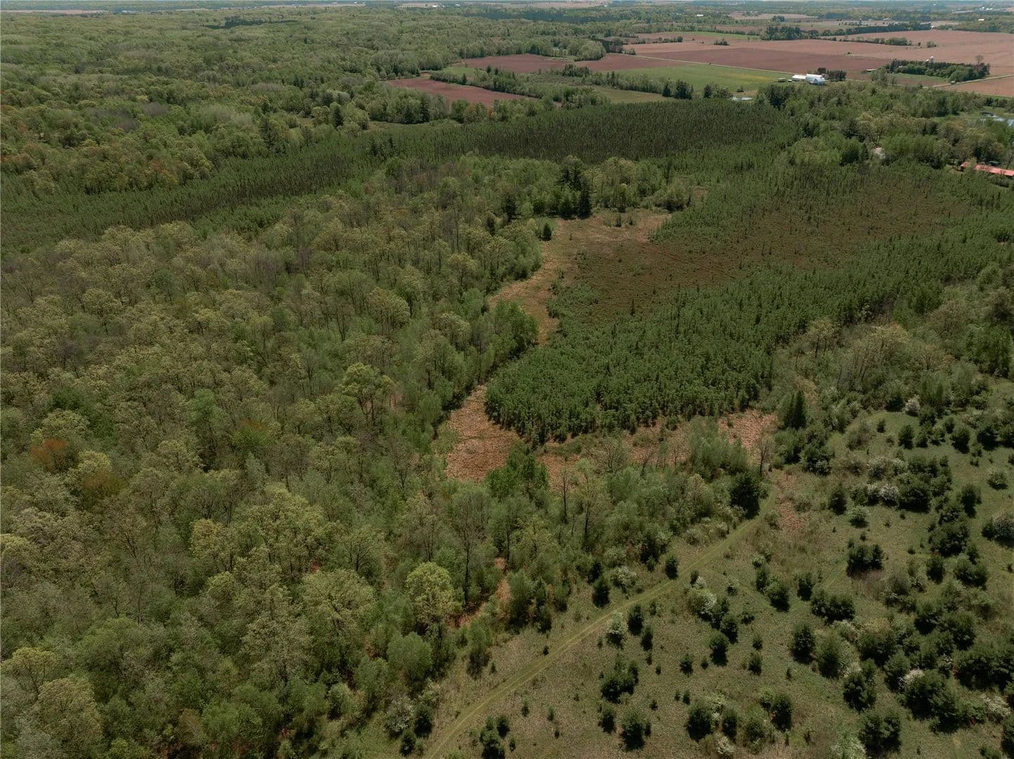 20 Acres of Land for Sale in Rice Lake, Wisconsin - Rice Lake, Wisconsin, 54868
