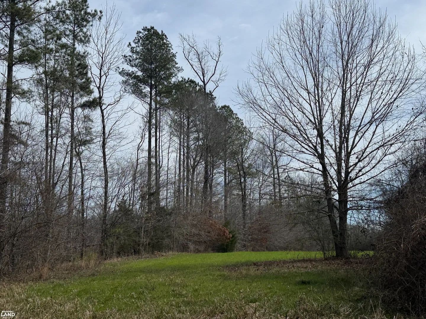 Big Sandy Recreational Tract B - land for sale