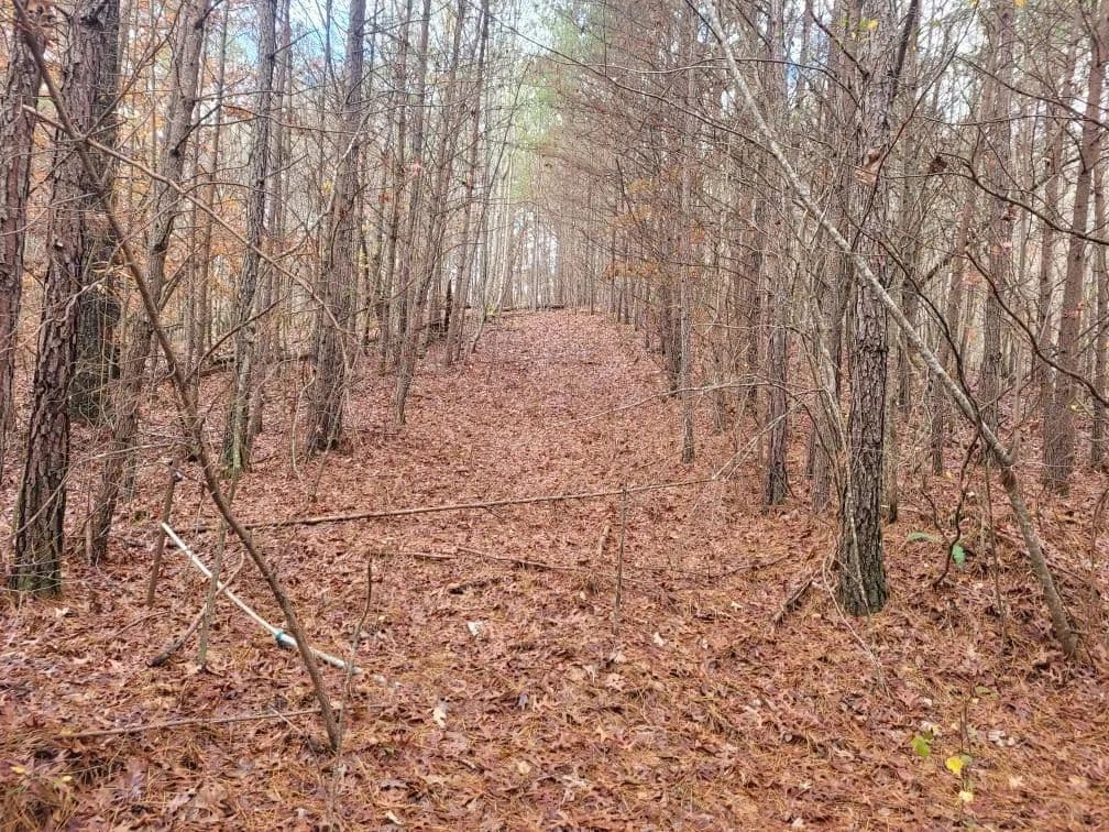 Property from 18.22 Talona Road - KW - Ellijay, Georgia, 30540