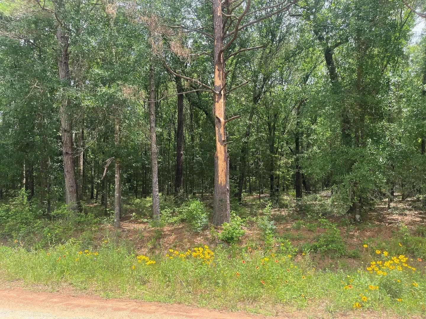 Land -Single Family Acreage in Cleveland - Cleveland, Texas, 77328