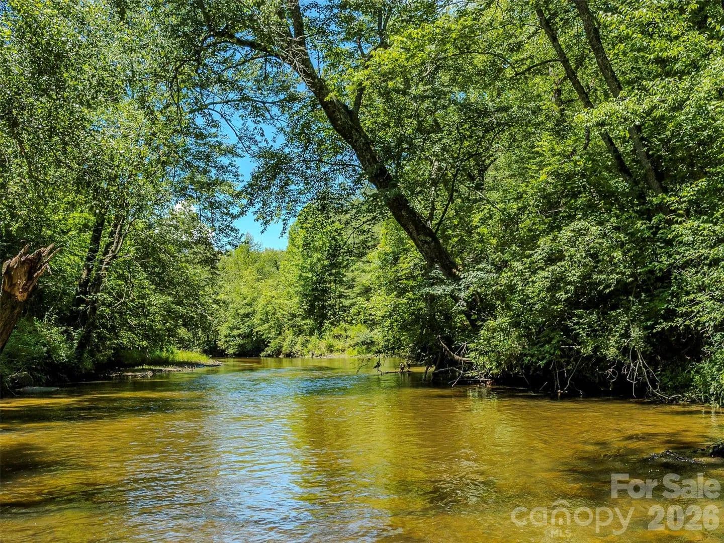 22.78 Acres of Land for Sale in Pisgah Forest, NC - Pisgah Forest, North Carolina, 28768