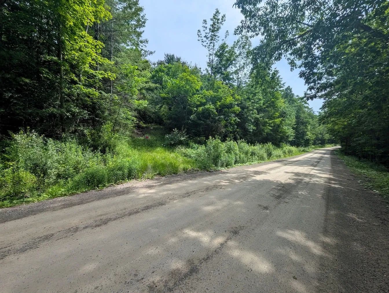 12 acres Wooded Recreational Land near Stony Brook State Park in Dansville NY Keifer Hollow Rd - Dansville, New York, 14437