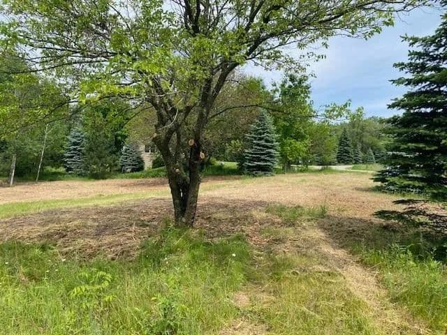 0.74 Acres of Land for Sale in Antrim County, Michigan - Michigan, 49690
