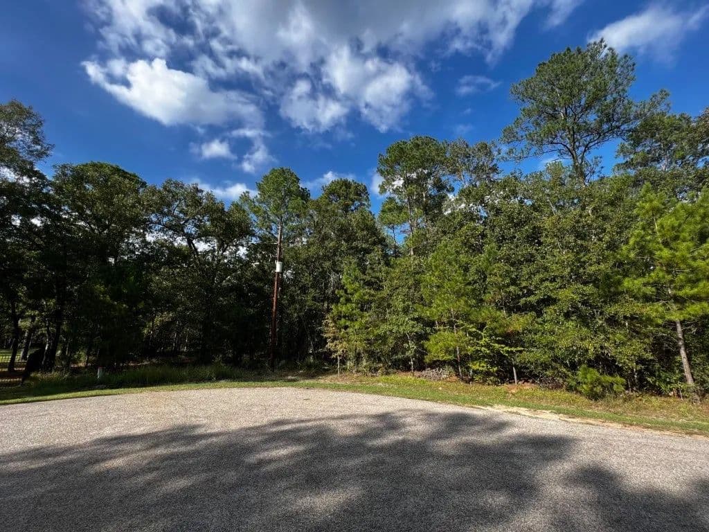 Property from 11805 White Oak Pass - KW - Conroe, Texas, 77385